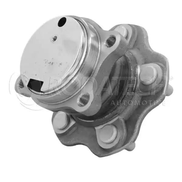 Maza de rueda Rodatech